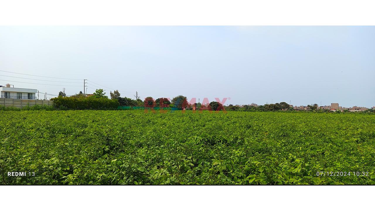 🔷 Venta De Terreno  / Logístico En Chancayllo – Km 91 Panamericana Norte 🔷 — foto 3
