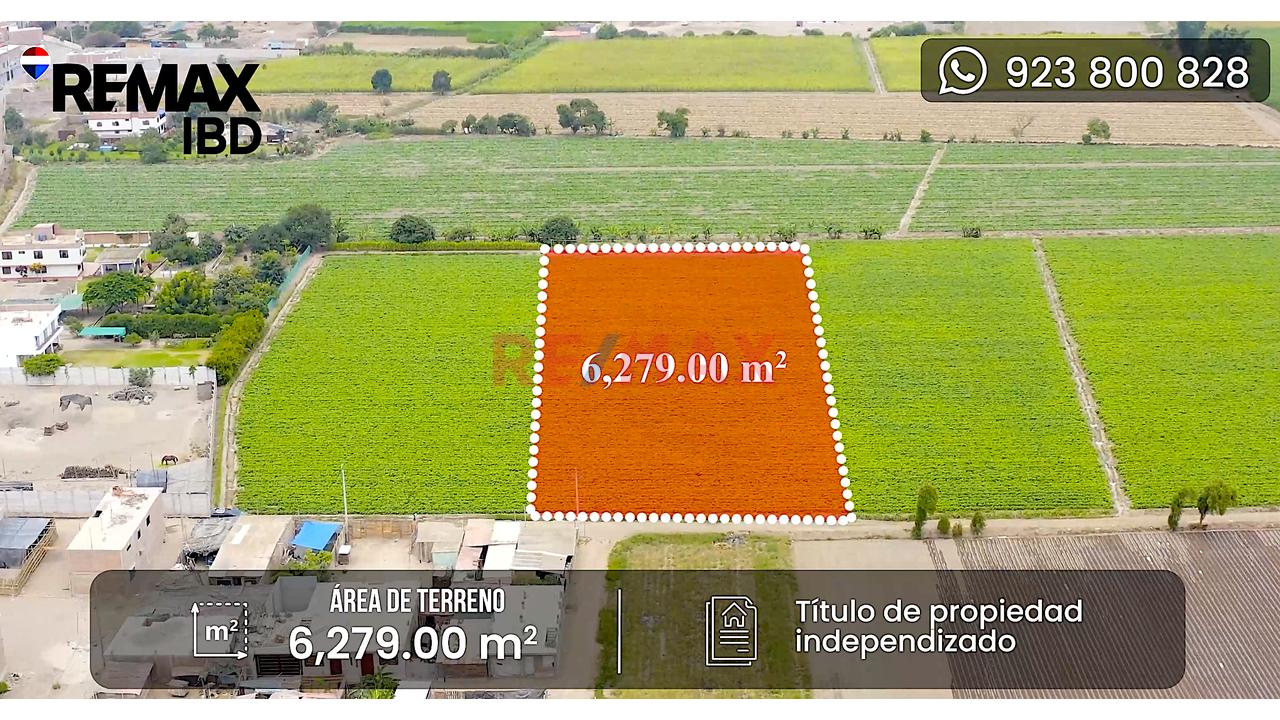 🔷 Venta De Terreno  / Logístico En Chancayllo – Km 91 Panamericana Norte 🔷 — foto 6