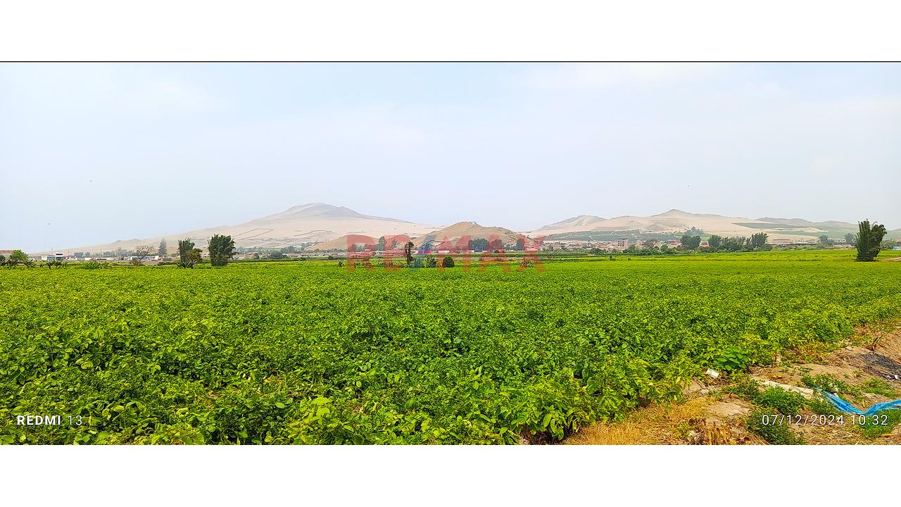 🔷 Venta De Terreno  / Logístico En Chancayllo – Km 91 Panamericana Norte 🔷 — foto 4