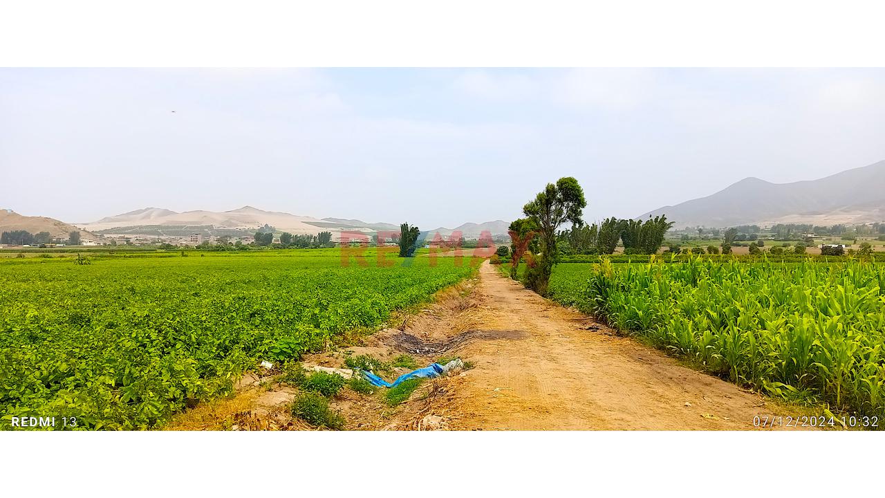 🔷 Venta De Terreno  / Logístico En Chancayllo – Km 91 Panamericana Norte 🔷 — foto 13