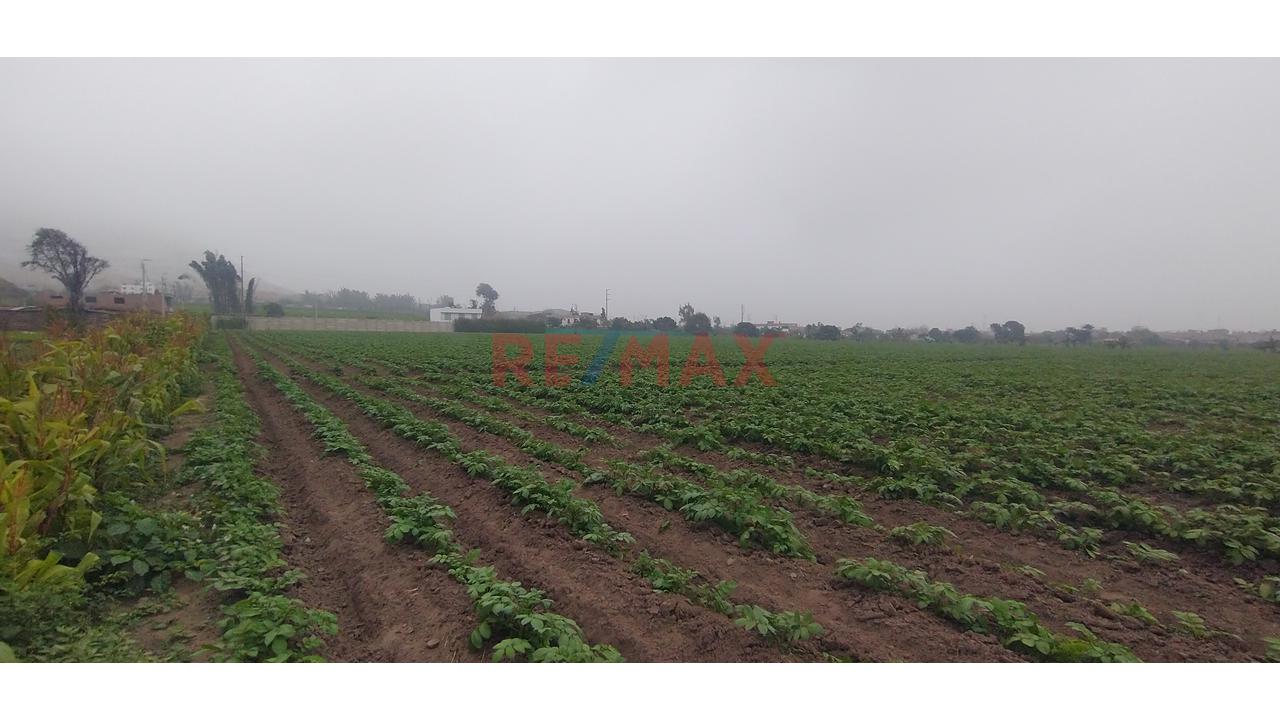 🔷 Venta De Terreno  / Logístico En Chancayllo – Km 91 Panamericana Norte 🔷 — foto 2