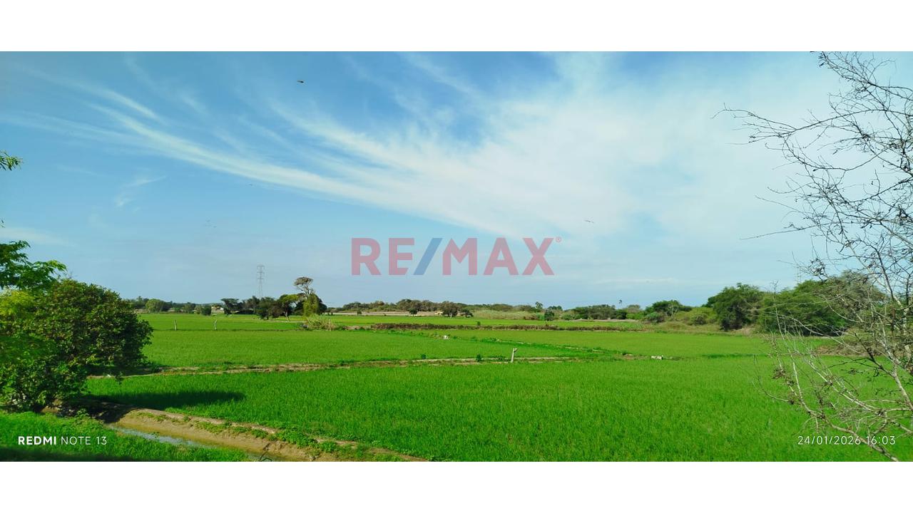Terreno En Venta - Lambayeque - 7