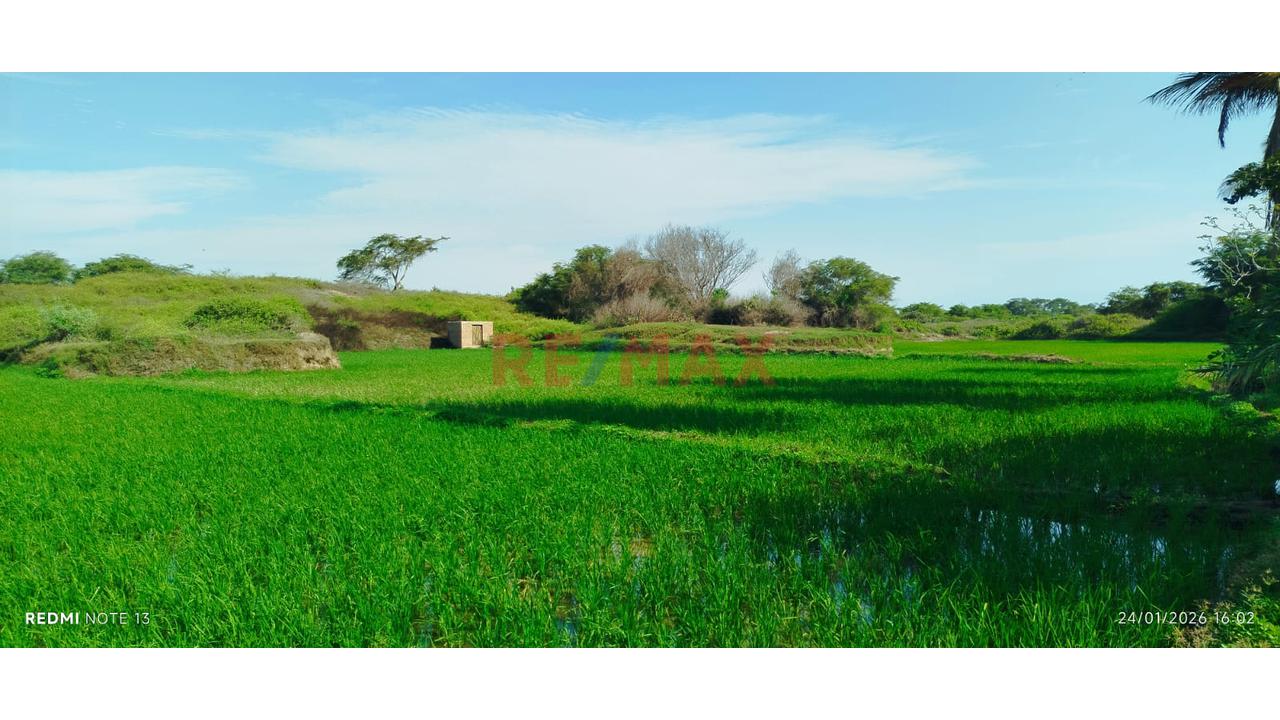 Terreno En Venta - Lambayeque - 3
