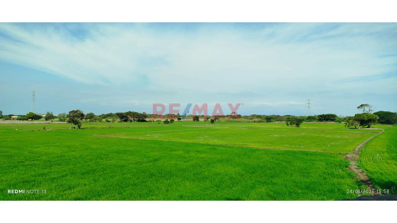 Terreno En Venta - Lambayeque - 6