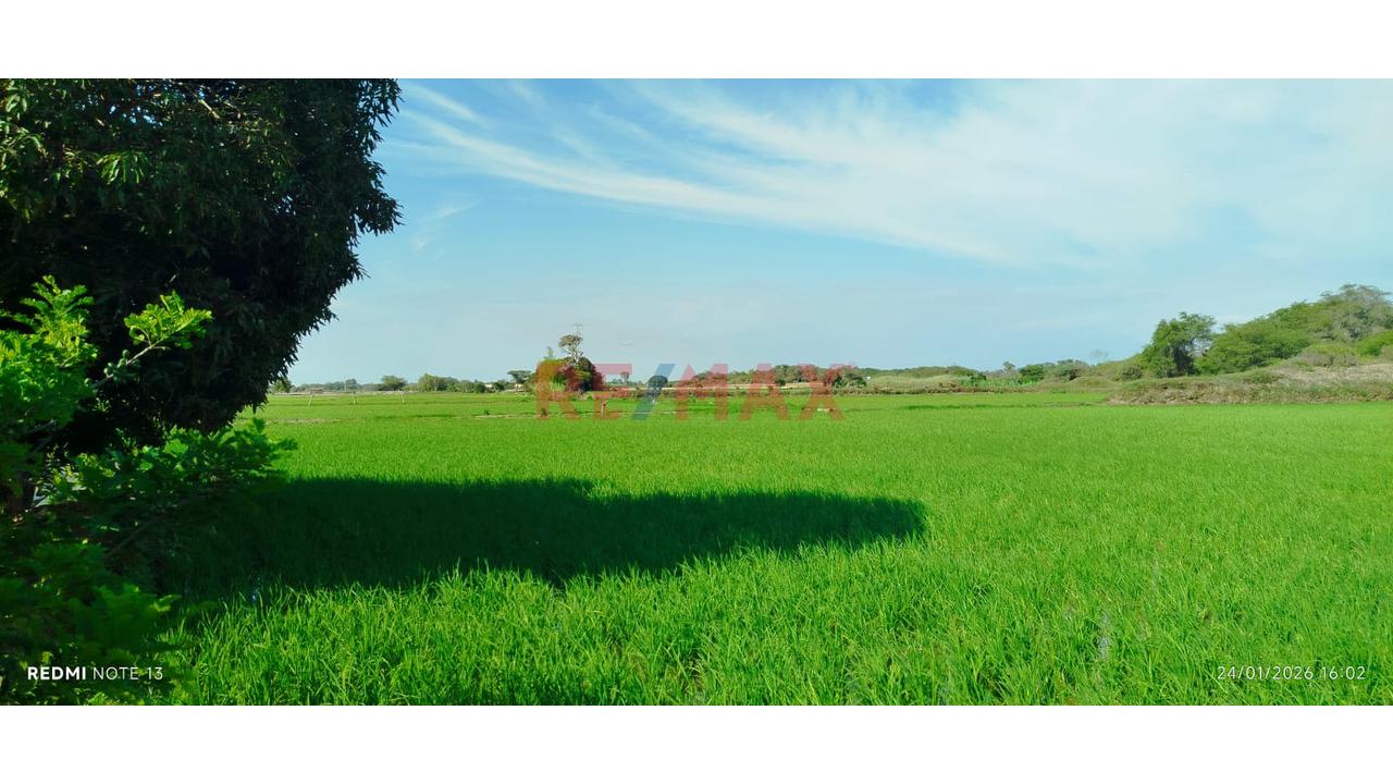Terreno En Venta - Lambayeque - 1