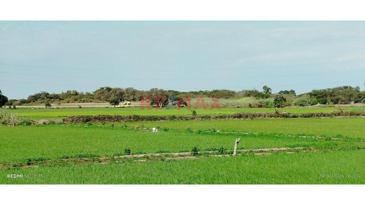 Terreno En Venta - Lambayeque - 2