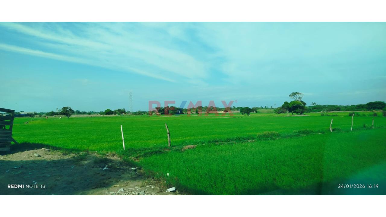 Terreno En Venta - Lambayeque - 9
