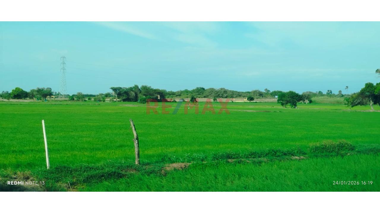 Terreno En Venta - Lambayeque - 4