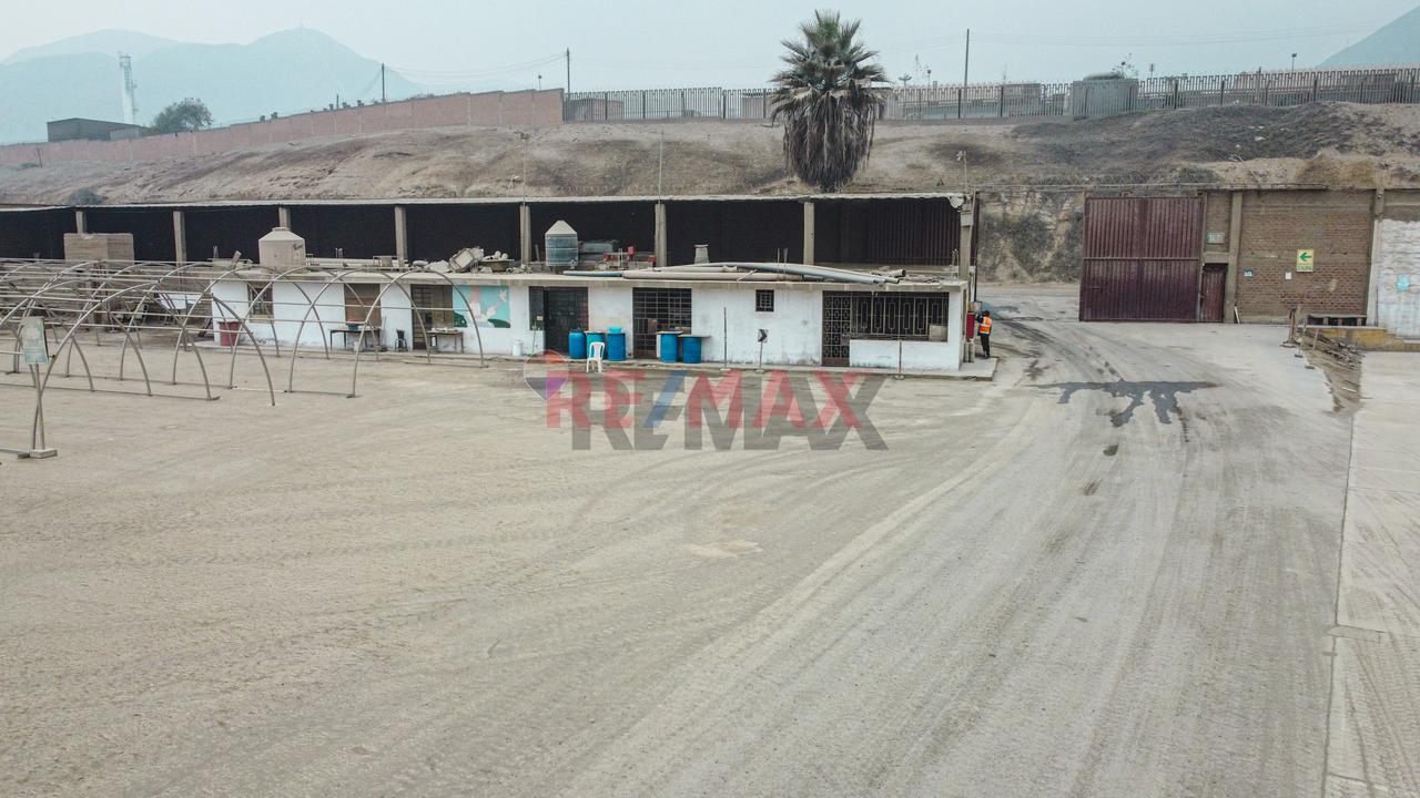 Gran Oportunidad: Local Industrial En Cajamarquilla – 5,427.75 M² — foto 15
