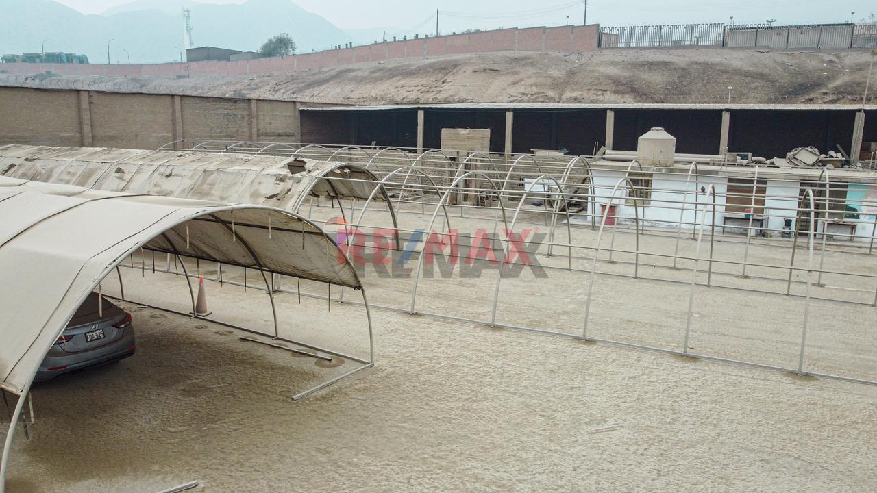 Gran Oportunidad: Local Industrial En Cajamarquilla – 10,855.5 M² — foto 11