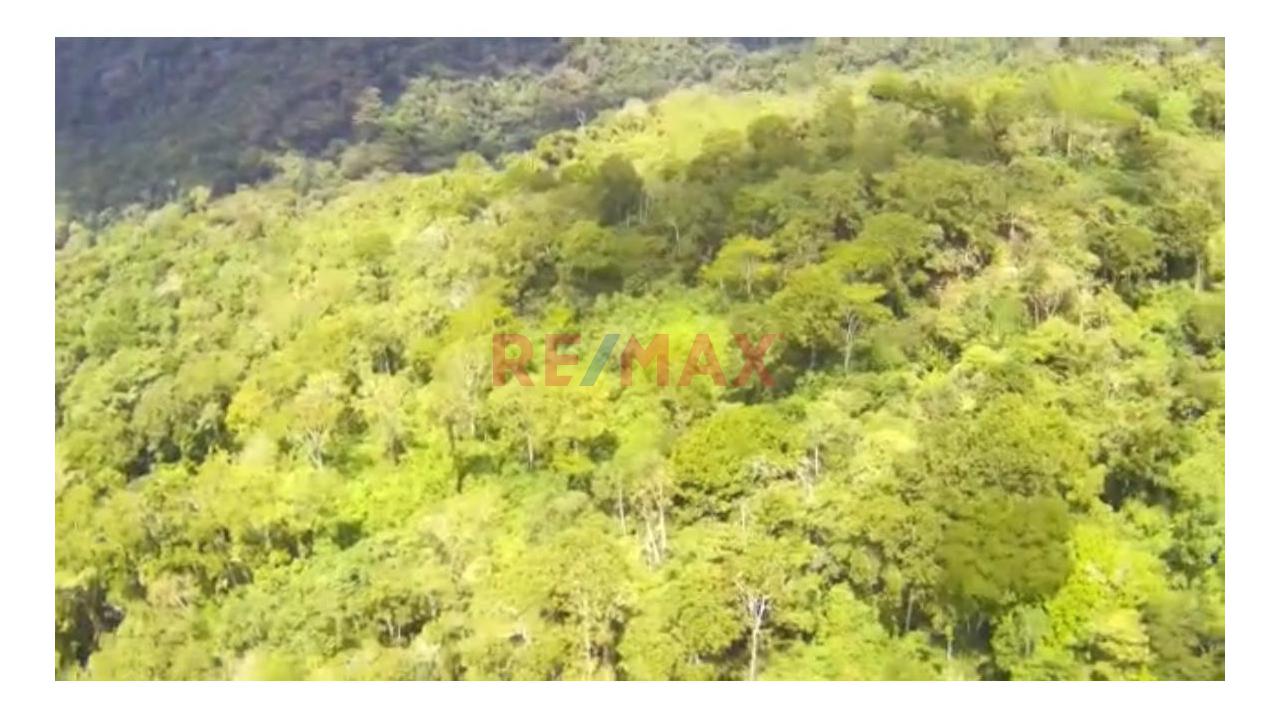 Vendo Terreno De 33 Hetareas En Villa Rica Oxapampa - 7