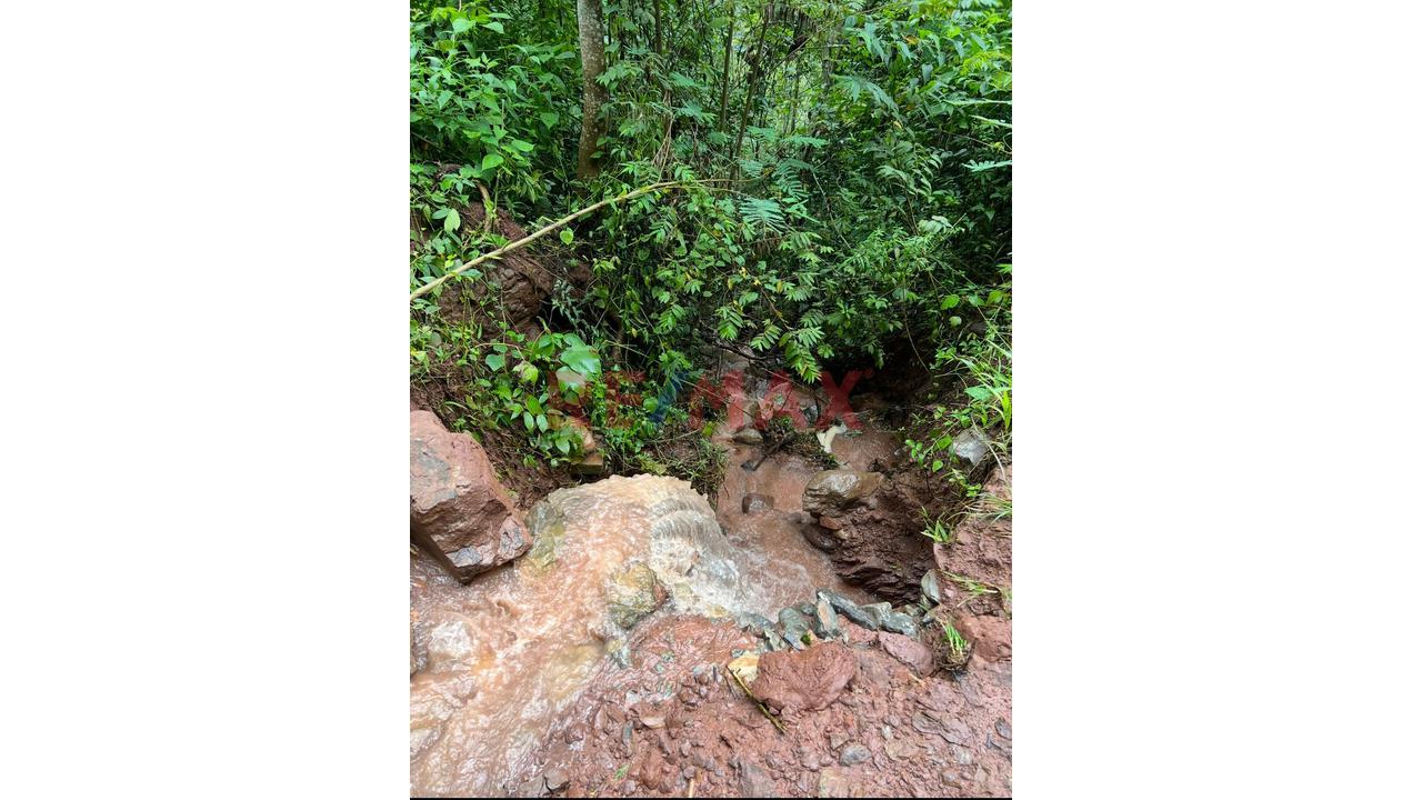 Vendo Terreno De 33 Hetareas En Villa Rica Oxapampa - 18