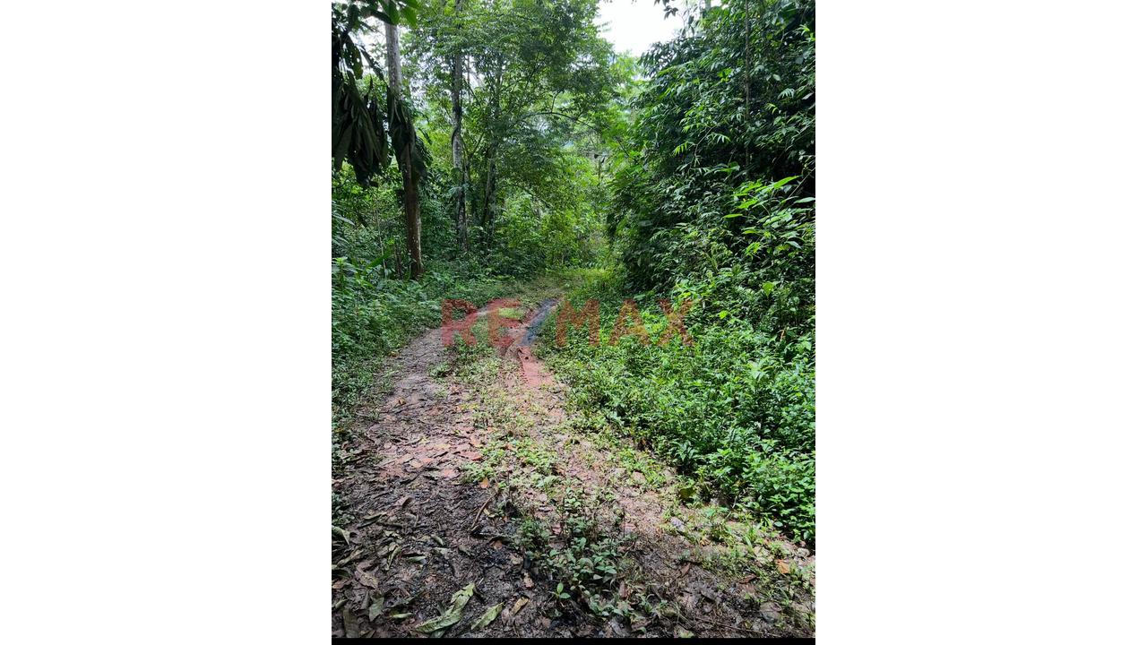 Vendo Terreno De 33 Hetareas En Villa Rica Oxapampa - 16