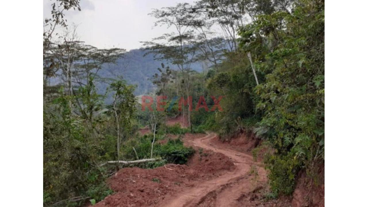 Vendo Terreno De 33 Hetareas En Villa Rica Oxapampa - 9