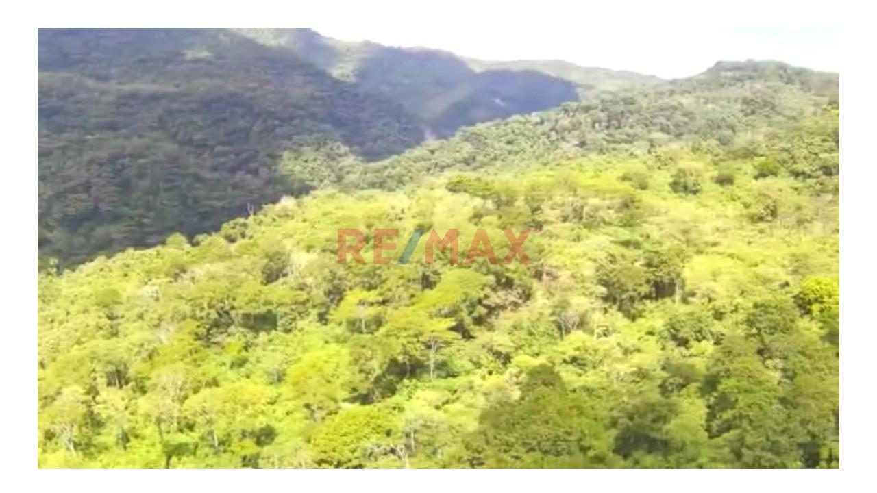 Vendo Terreno De 33 Hetareas En Villa Rica Oxapampa - 4