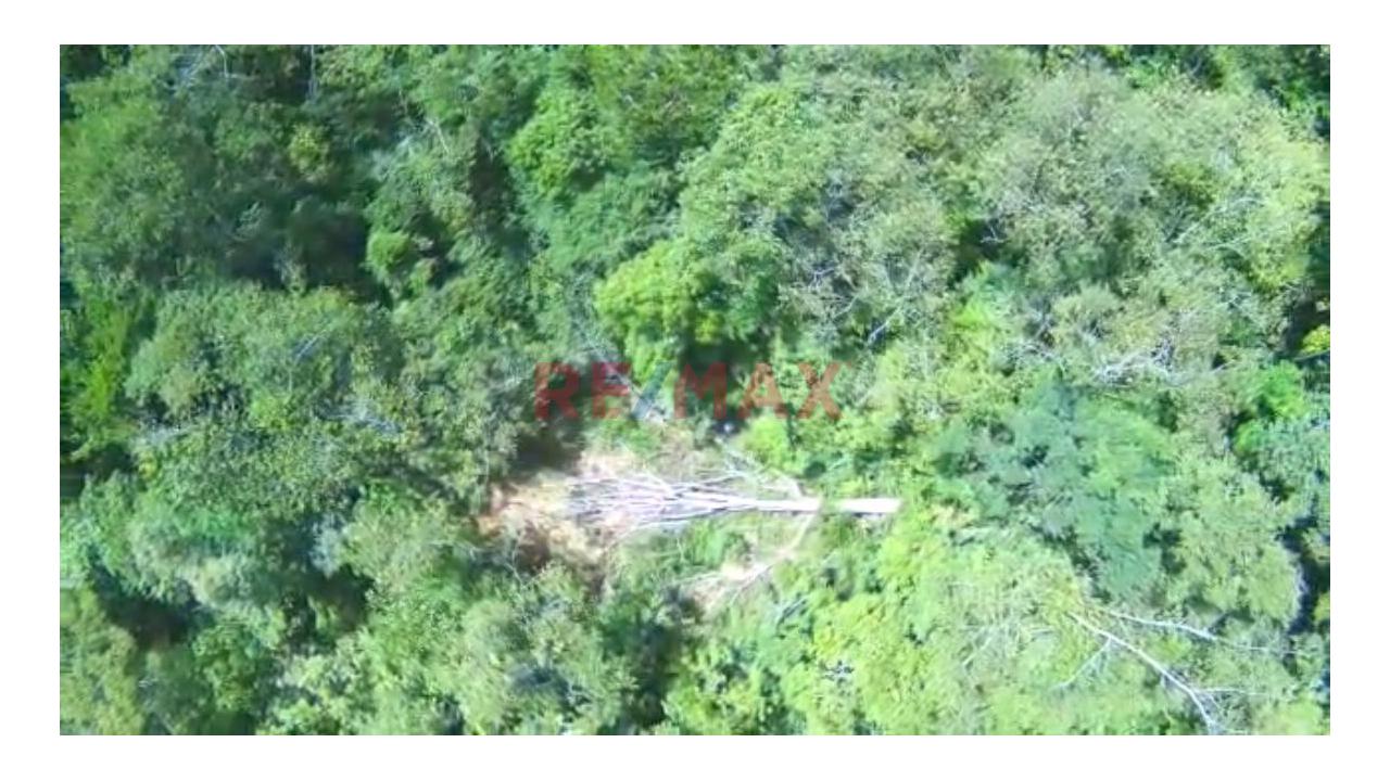 Vendo Terreno De 33 Hetareas En Villa Rica Oxapampa - 5