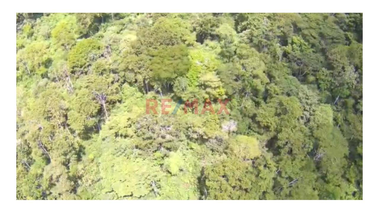 Vendo Terreno De 33 Hetareas En Villa Rica Oxapampa - 6