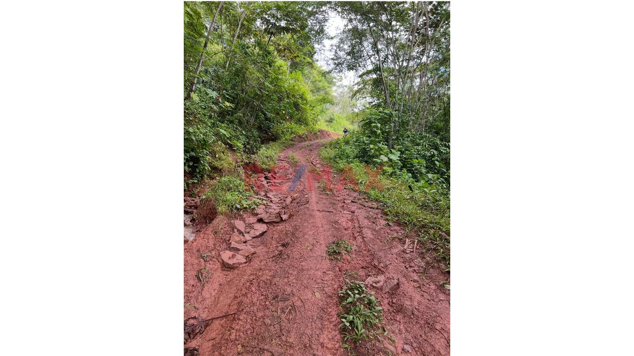 Vendo Terreno De 33 Hetareas En Villa Rica Oxapampa - 17