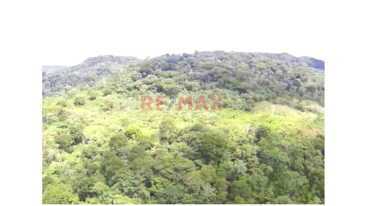 Vendo Terreno De 33 Hetareas En Villa Rica Oxapampa - 10