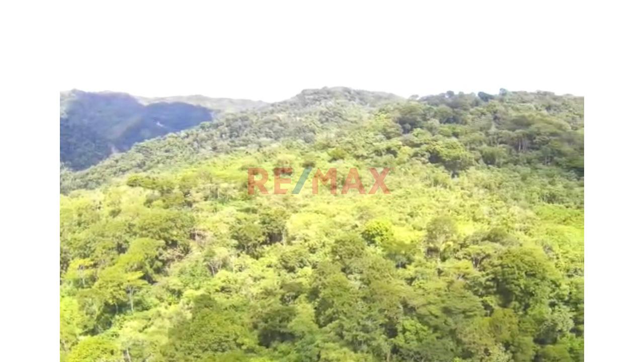 Vendo Terreno De 33 Hetareas En Villa Rica Oxapampa - 20