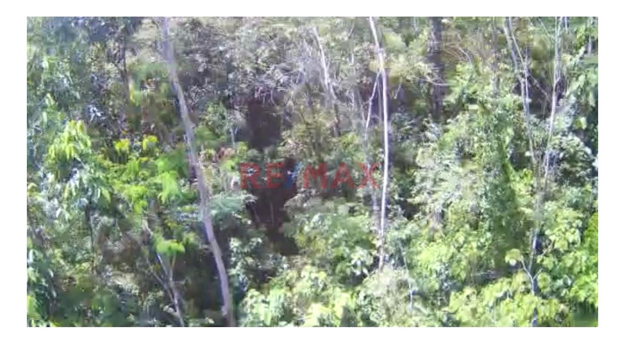 Vendo Terreno De 33 Hetareas En Villa Rica Oxapampa - 2