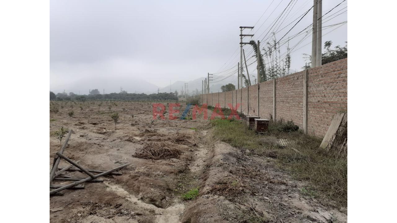 Oportunidad Estratégica: 15 Ha A 35 Min Del Mega Puerto De Chancay - Ideal Para Agroindustria O Logística - 11