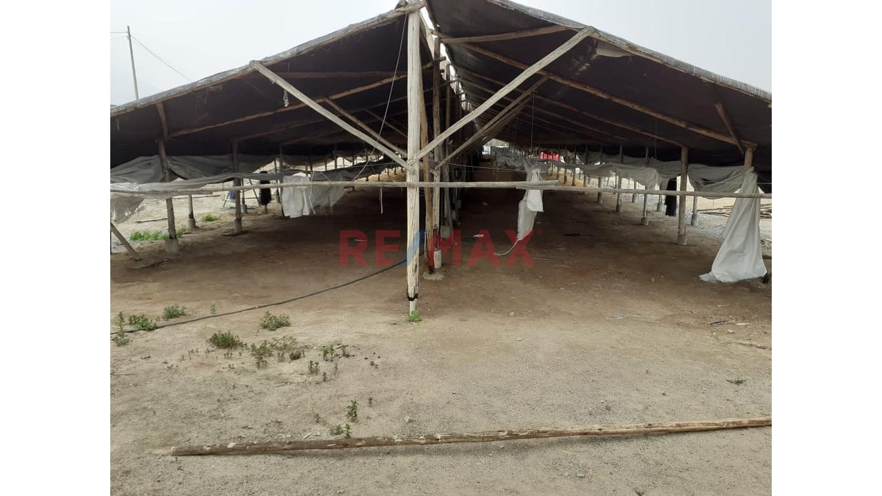 Oportunidad Estratégica: 15 Ha A 35 Min Del Mega Puerto De Chancay - Ideal Para Agroindustria O Logística - 7