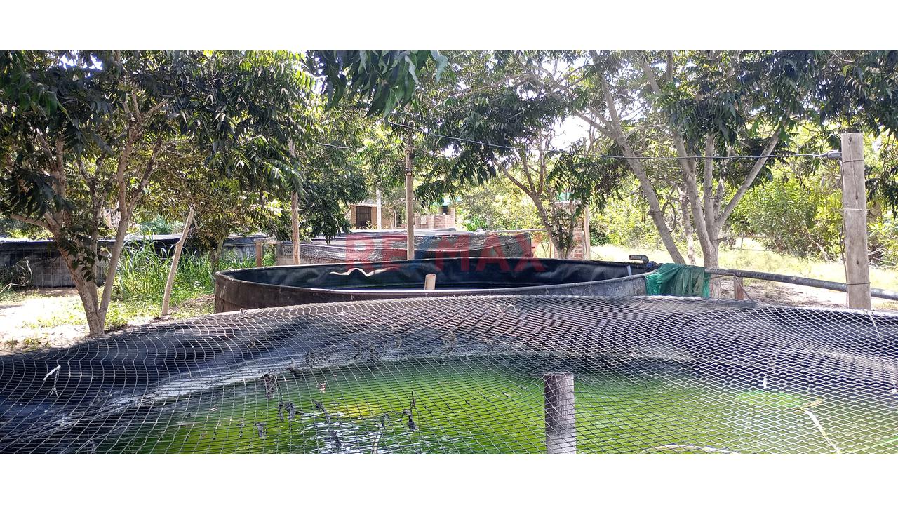 Se Vende Terreno Urbano – Sunampe, Chincha - 8