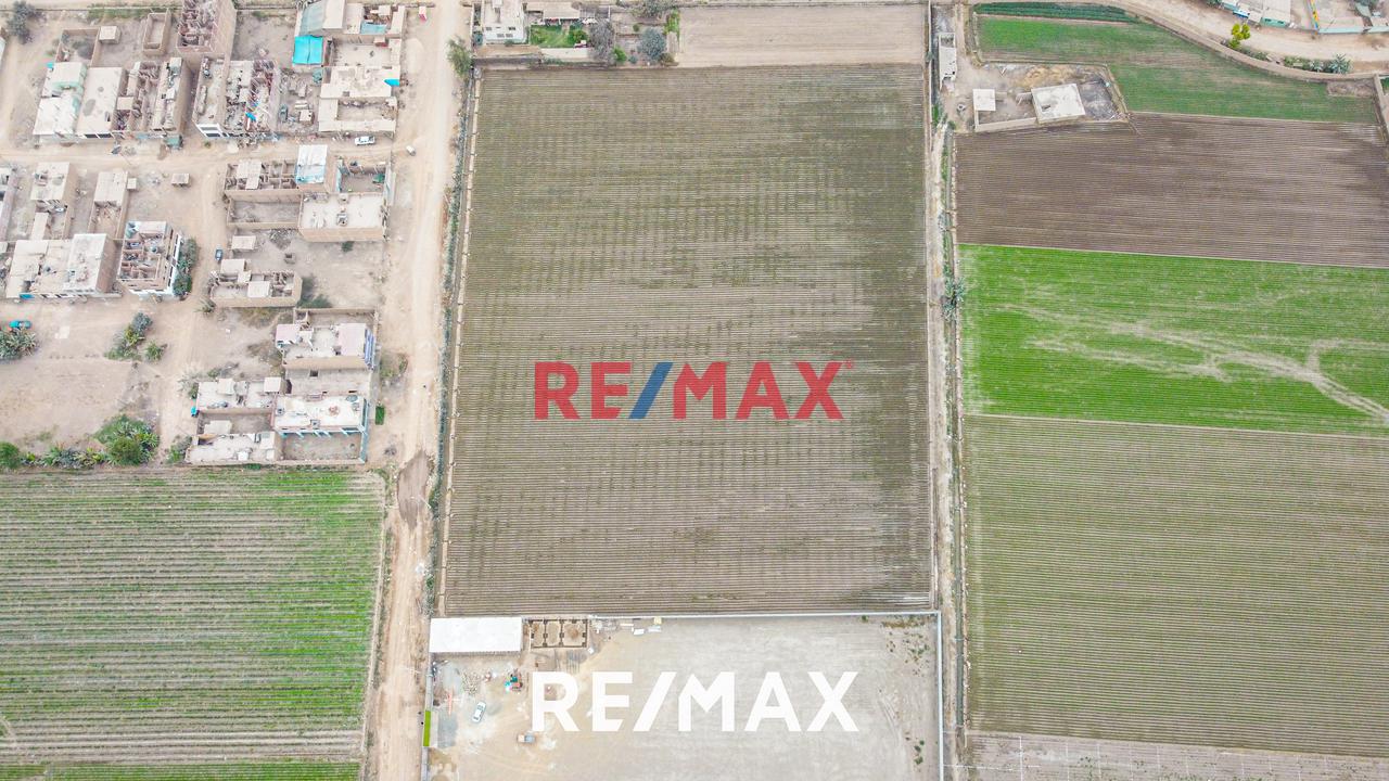 Se Vende Amplio Terreno De 20,236 M2 En Ex Fundo Chuquitanta - San Martín De Porres — foto 14