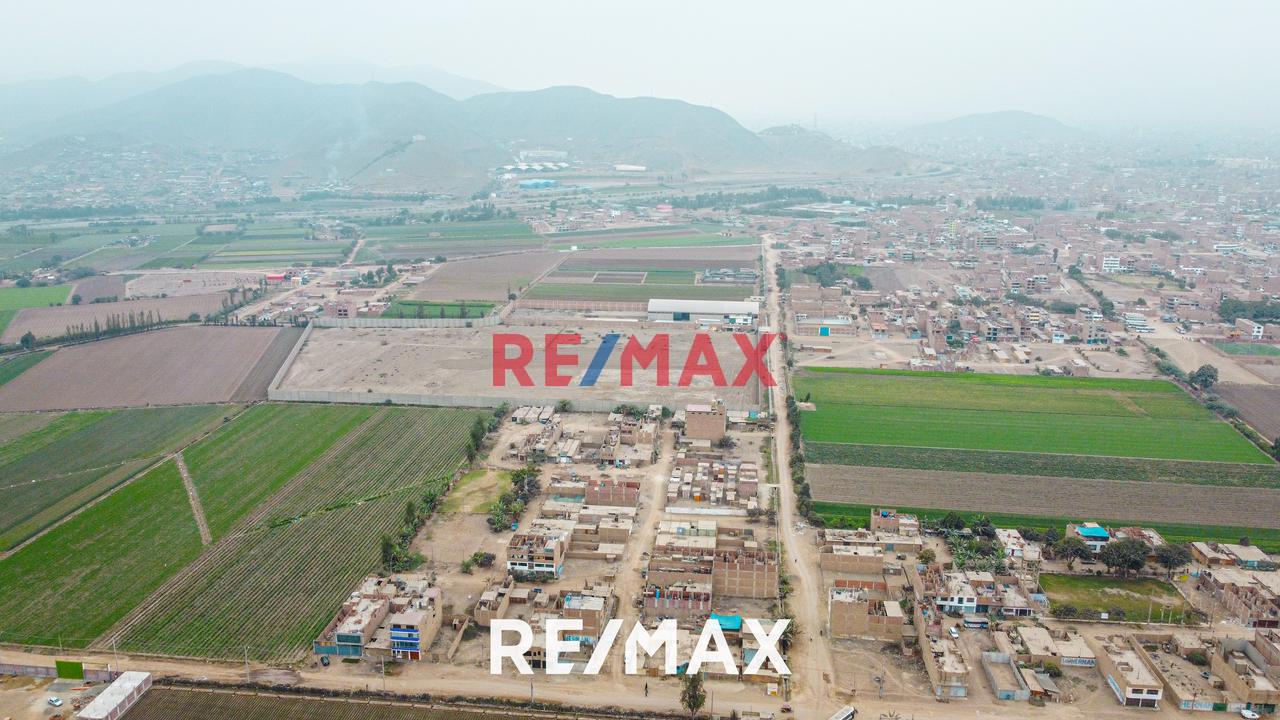Se Vende Amplio Terreno De 20,236 M2 En Ex Fundo Chuquitanta - San Martín De Porres — foto 8