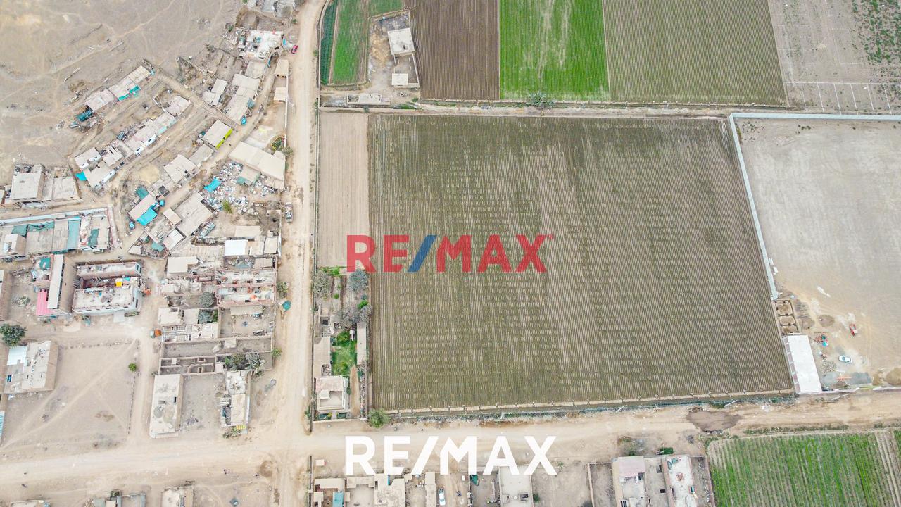 Se Vende Amplio Terreno De 20,236 M2 En Ex Fundo Chuquitanta - San Martín De Porres — foto 10