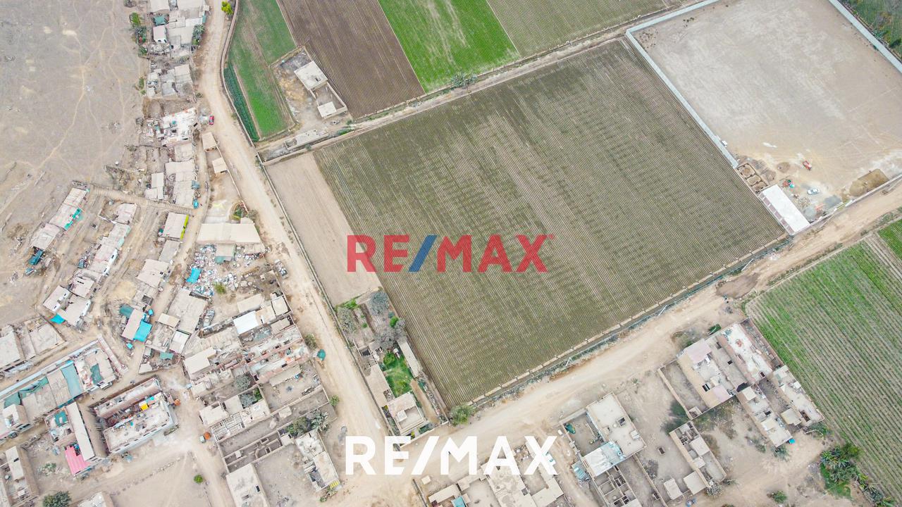 Se Vende Amplio Terreno De 20,236 M2 En Ex Fundo Chuquitanta - San Martín De Porres — foto 3