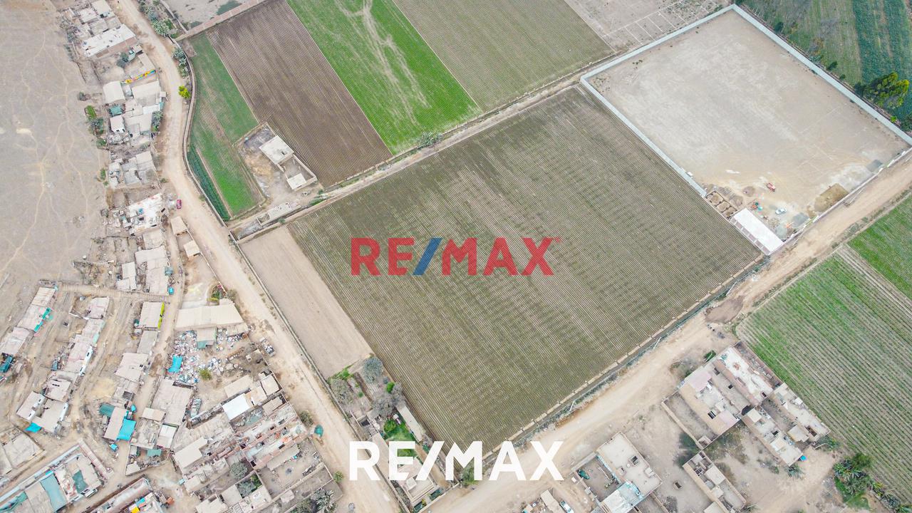 Se Vende Amplio Terreno De 20,236 M2 En Ex Fundo Chuquitanta - San Martín De Porres — foto 4