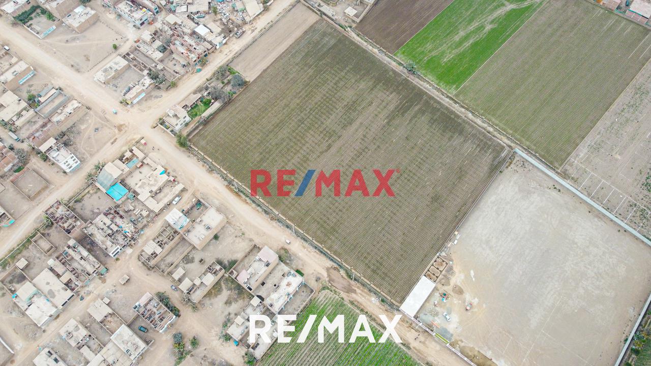 Se Vende Amplio Terreno De 20,236 M2 En Ex Fundo Chuquitanta - San Martín De Porres — foto 12
