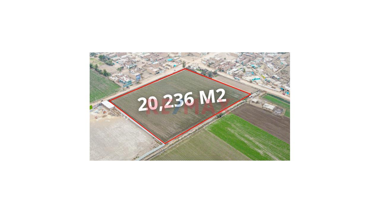 Se Vende Amplio Terreno De 20,236 M2 En Ex Fundo Chuquitanta - San Martín De Porres