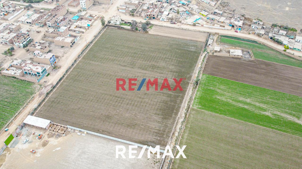 Se Vende Amplio Terreno De 20,236 M2 En Ex Fundo Chuquitanta - San Martín De Porres — foto 15