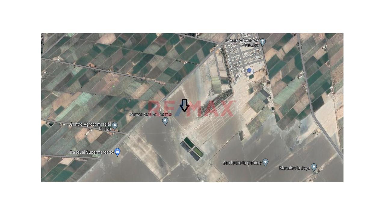 Venta Terreno En La Joya San Isidro - De 1,000 M2 - 2