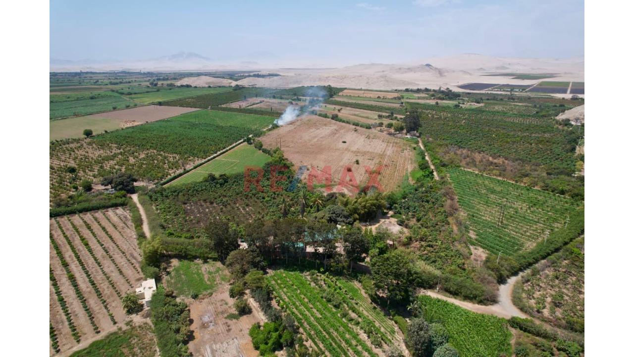 🏡🌾 Oportunidad De Inversión Agrícola En Casma 🌾🏡 - 7