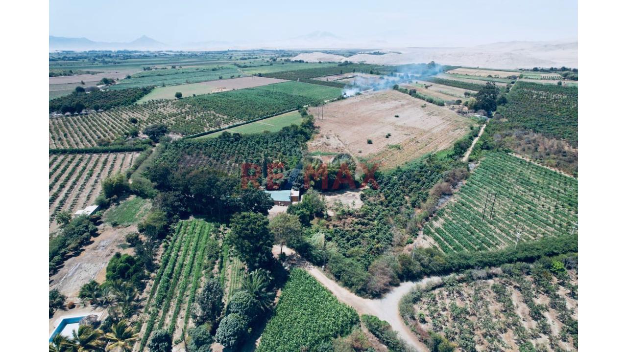 🏡🌾 Oportunidad De Inversión Agrícola En Casma 🌾🏡 - 3