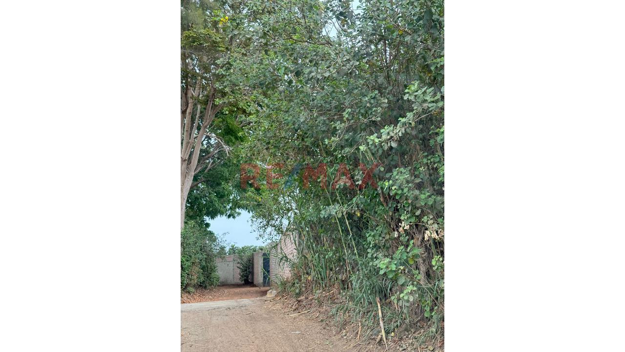 🏡🌾 Oportunidad De Inversión Agrícola En Casma 🌾🏡 - 10