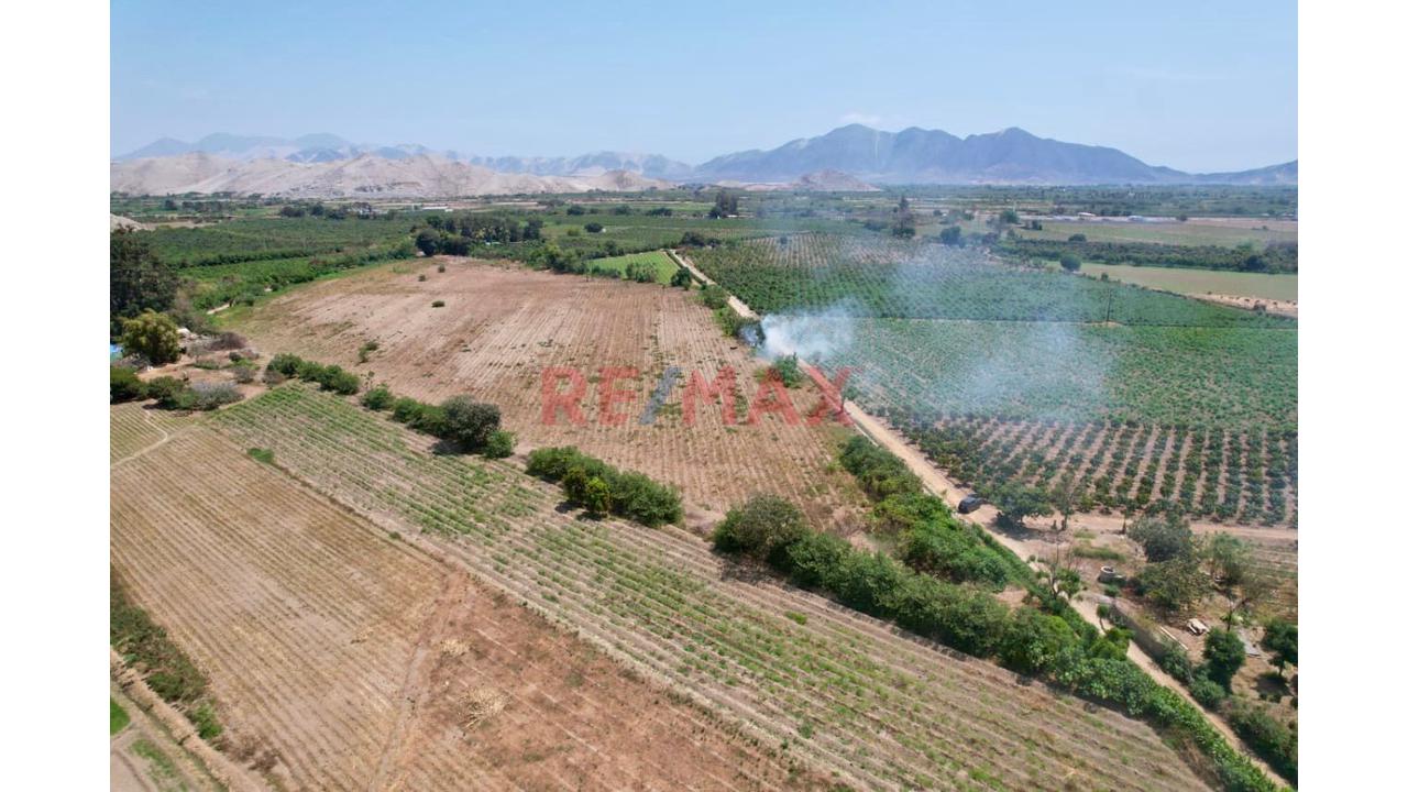 🏡🌾 Oportunidad De Inversión Agrícola En Casma 🌾🏡 - 5