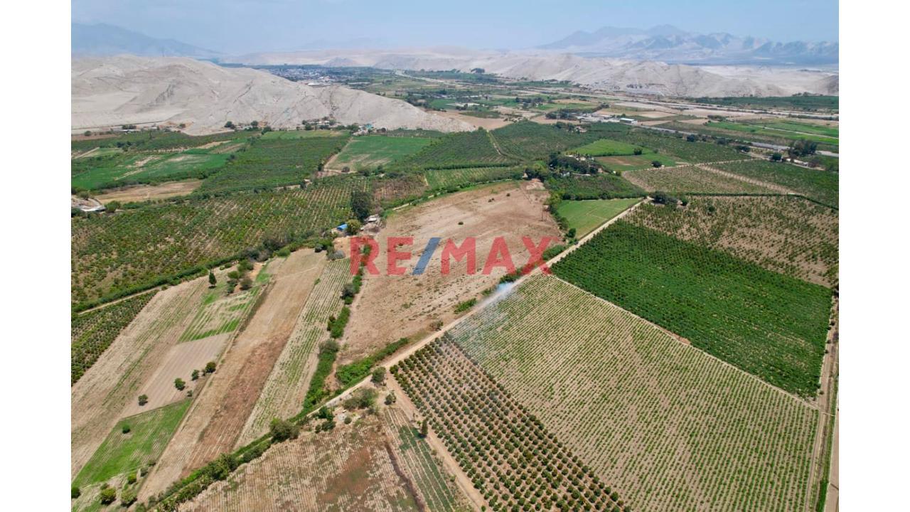 🏡🌾 Oportunidad De Inversión Agrícola En Casma 🌾🏡 - 1