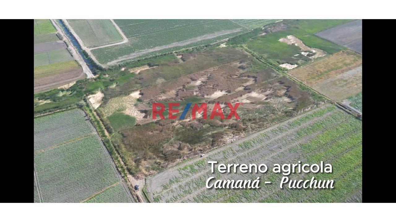 Terreno Agrícola - Camaná Pucchun - 2