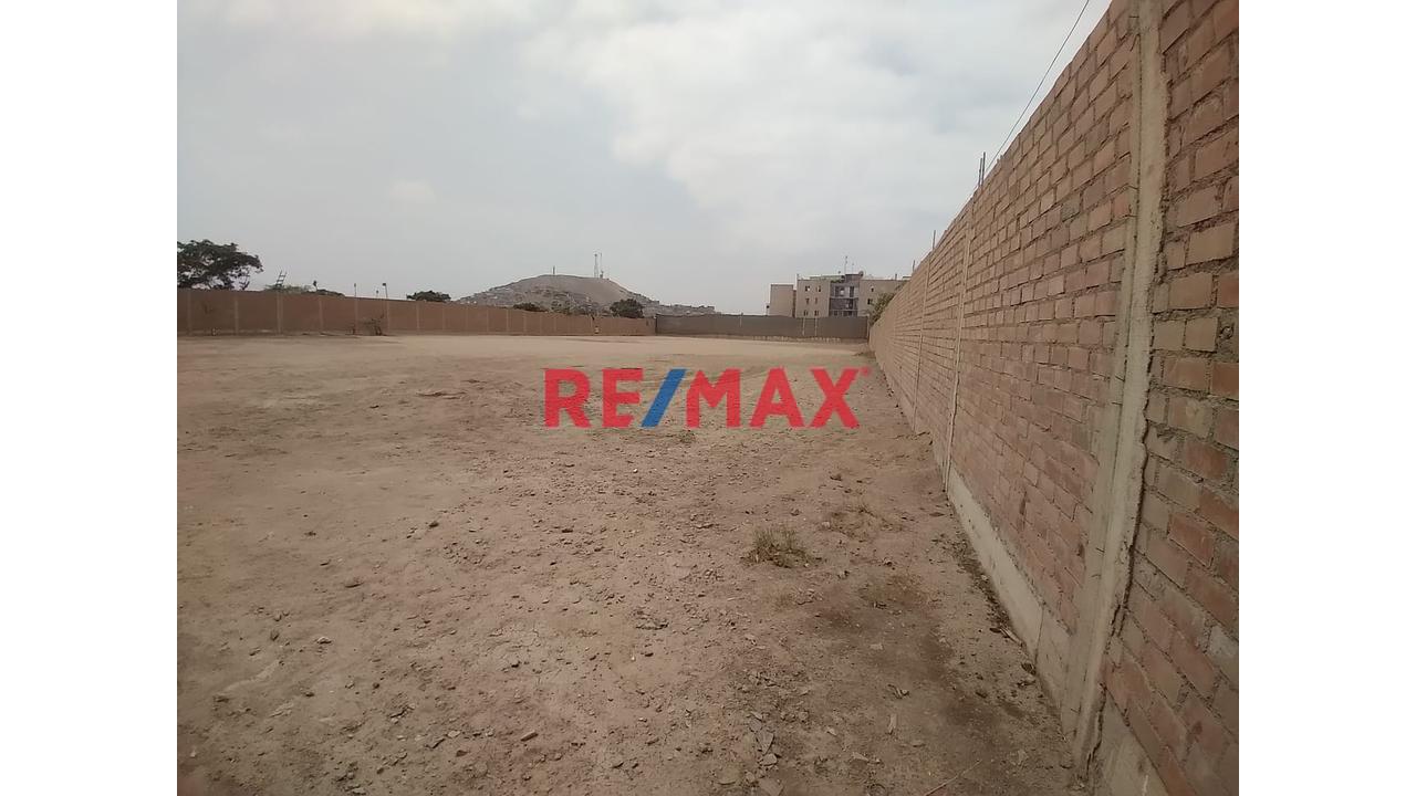 Terreno Industrial En Alquiler De 5 000 M2 En Puente Piedra — foto 7