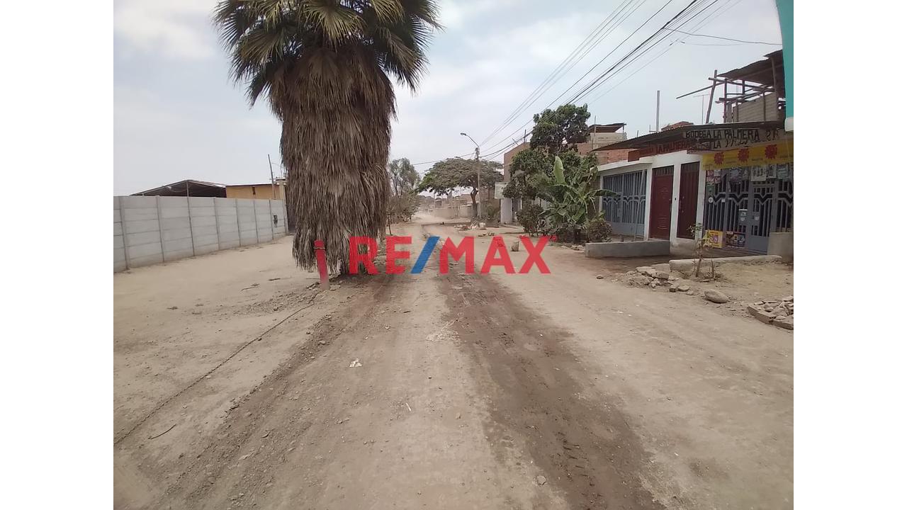 Terreno Industrial En Alquiler De 5 000 M2 En Puente Piedra — foto 8