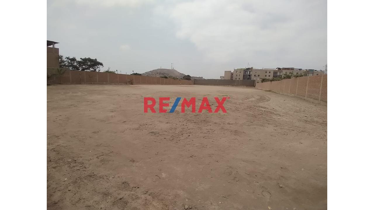 Terreno Industrial En Alquiler De 5 000 M2 En Puente Piedra — foto 11