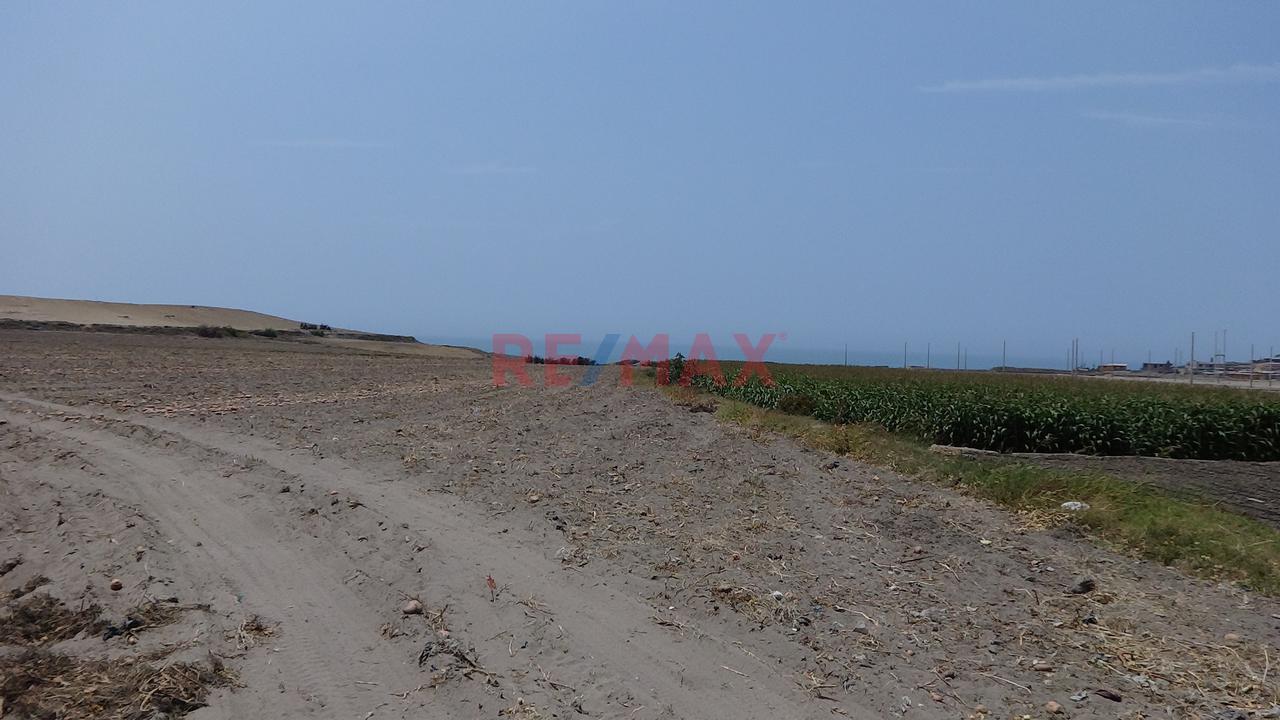 Se Vende Terreno De 5.8 Has En Supe Puerto Barranca - 6