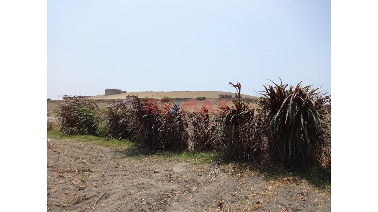 Se Vende Terreno De 5.8 Has En Supe Puerto Barranca - 8