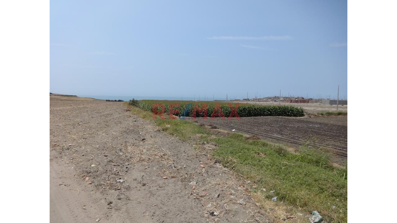Se Vende Terreno De 5.8 Has En Supe Puerto Barranca - 5