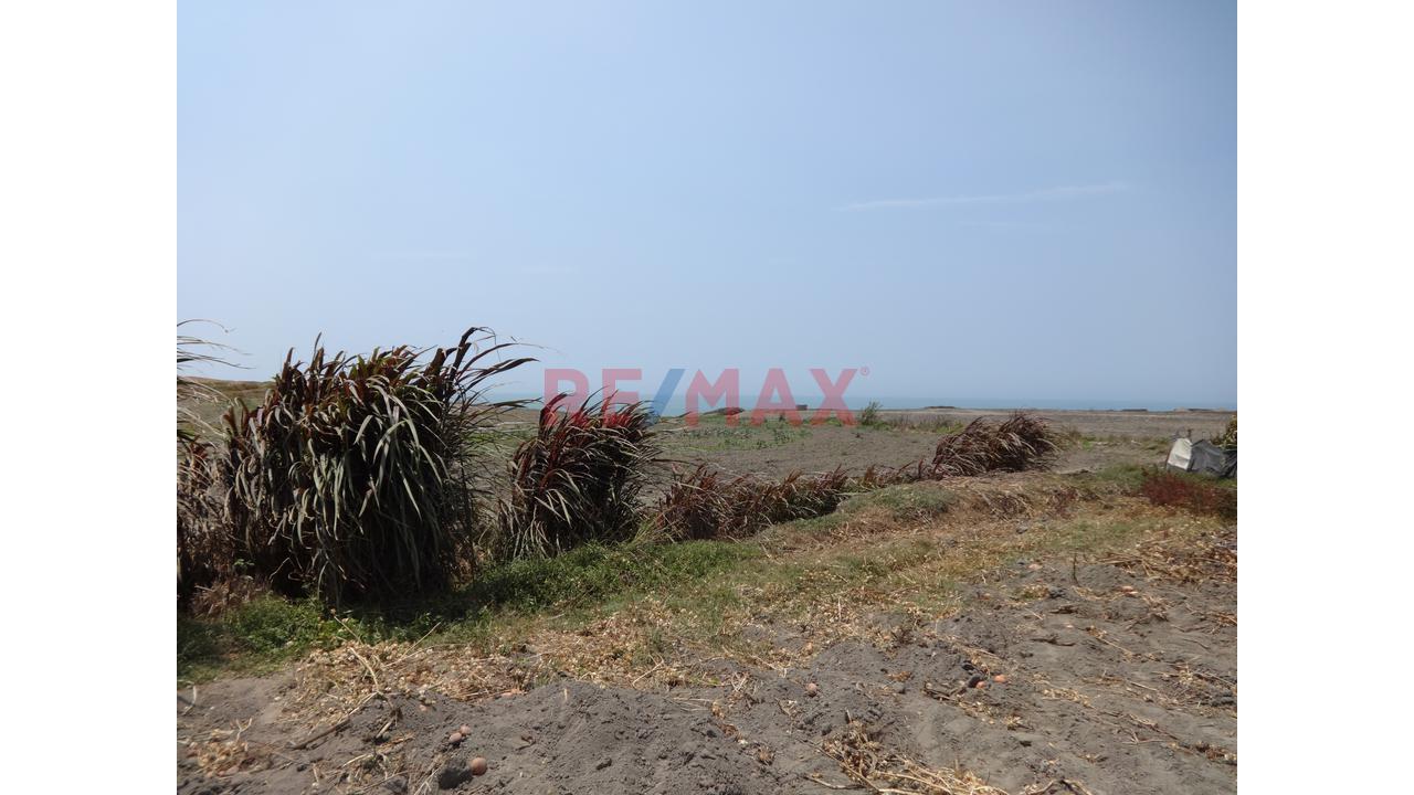 Se Vende Terreno De 5.8 Has En Supe Puerto Barranca - 10